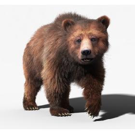 Brown Bear(2)(FUR)(ANIMATED)